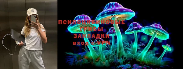 соль ск Армянск