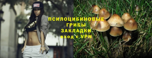 мяу мяу мука Арсеньев