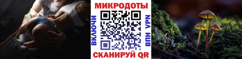 Псилоцибиновые грибы MAGIC MUSHROOMS  где купить наркоту  Георгиевск 