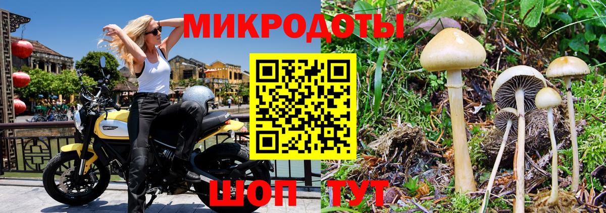 Георгиевск  Псилоцибиновые грибы Magic Shrooms  Вход с VPN  Псилоцибиновые грибы ЛСД 