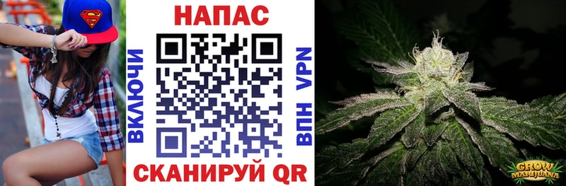 Марихуана планчик  KRAKEN зеркало  Георгиевск 